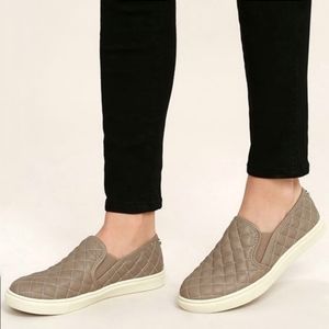 steve madden ecentrcq